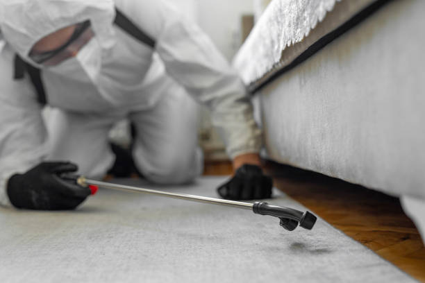 Professional Bed Bug Control technician working in Taft Mosswood, CA