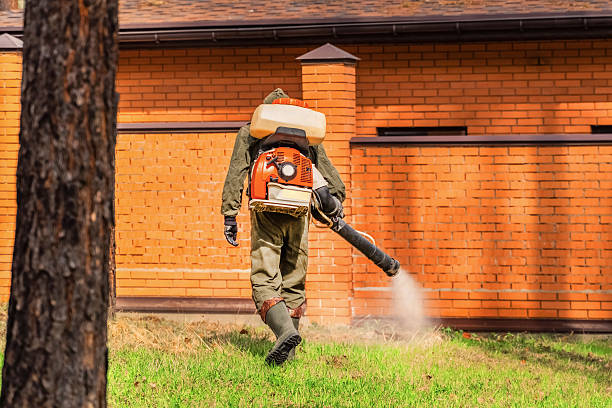 Trusted Rodent Control service in Taft Mosswood, CA - Nex Pest Control